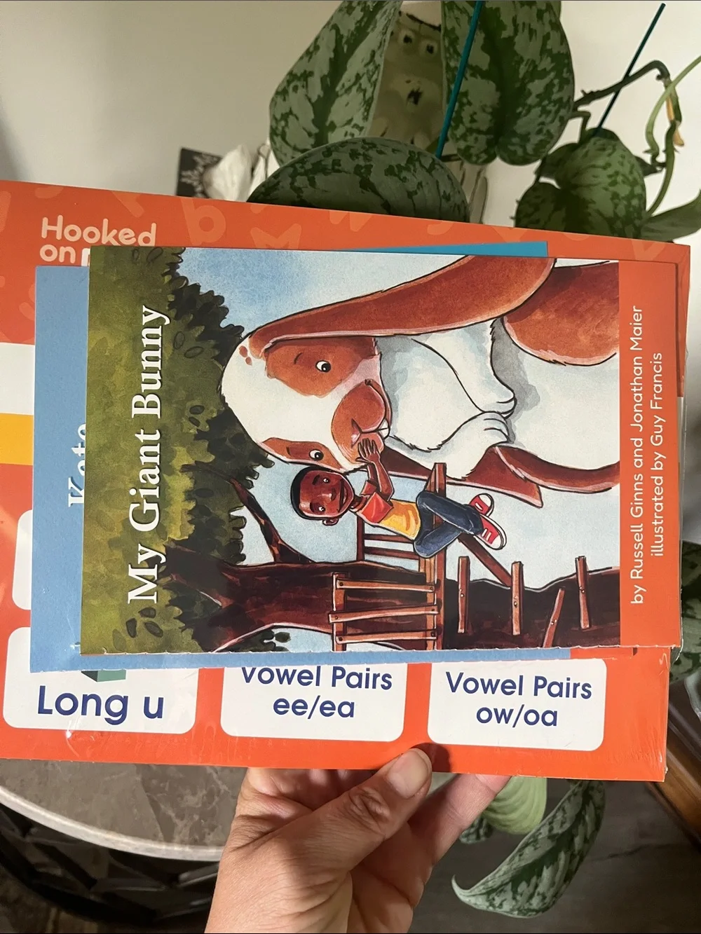 Hooked on Phonics 2 Books My Giant Bunny Kids Book